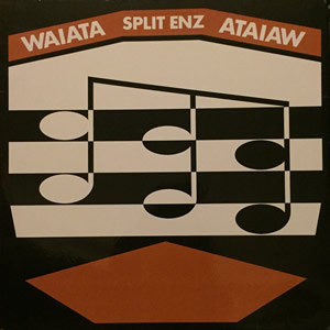 { record.artist }} - Waiata