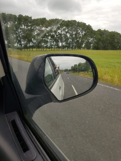 camping_05_12_2020-1.jpg