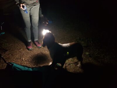 camping_05_12_2020-14.jpg