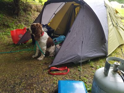 camping_05_12_2020-4.jpg