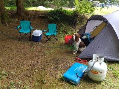 camping_05_12_2020-5.jpg