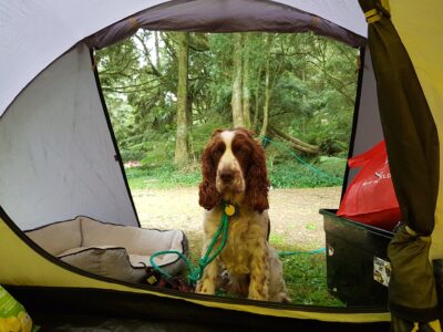 camping_05_12_2020-6.jpg