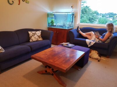 helen-livingroom-new-community-tank.jpg