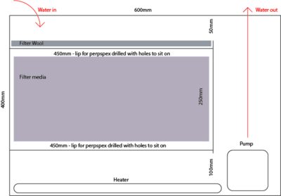 sump-design.jpg